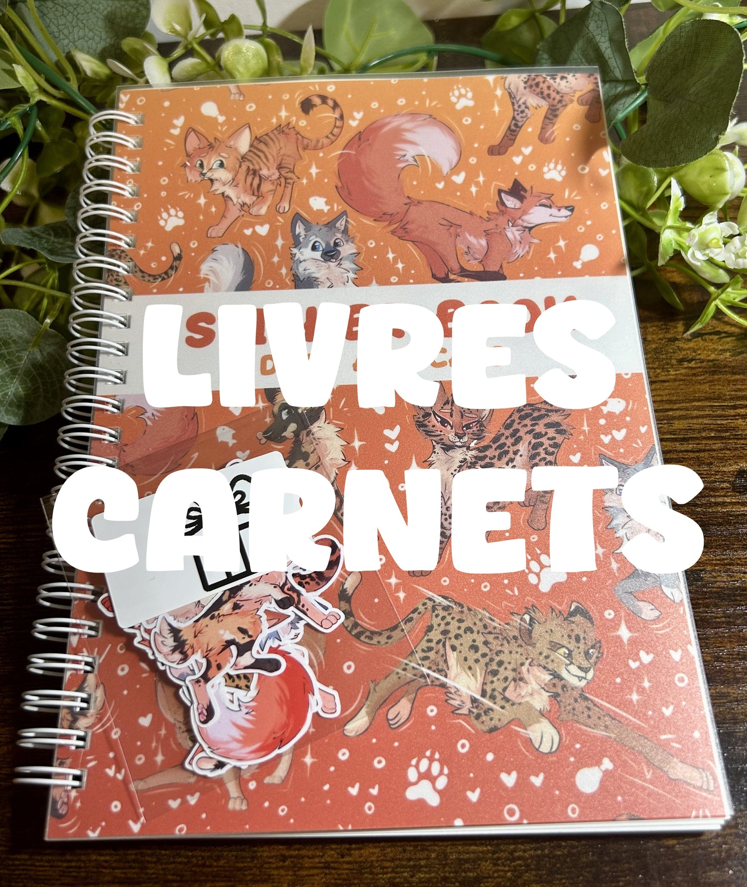 Livres / Carnets