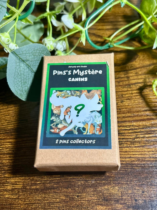 Pins Mystère – Canins ❓