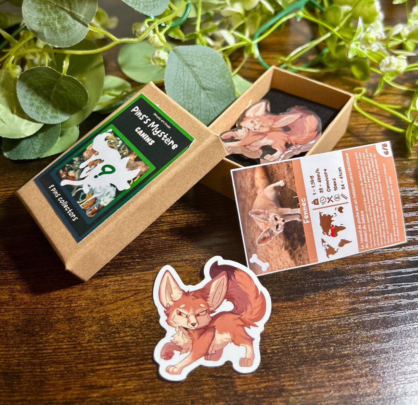 Pins Mystère – Canins ❓