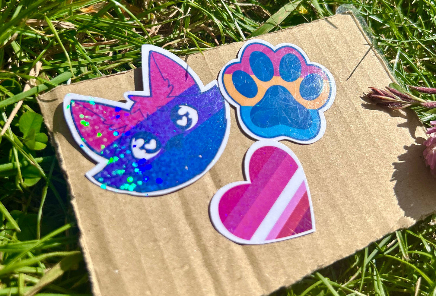 Déstockage | LGBT 🌈 ✨