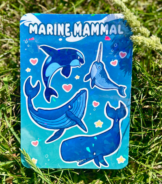 Planche Stickers |  Mammifères Marins 🐳🌊
