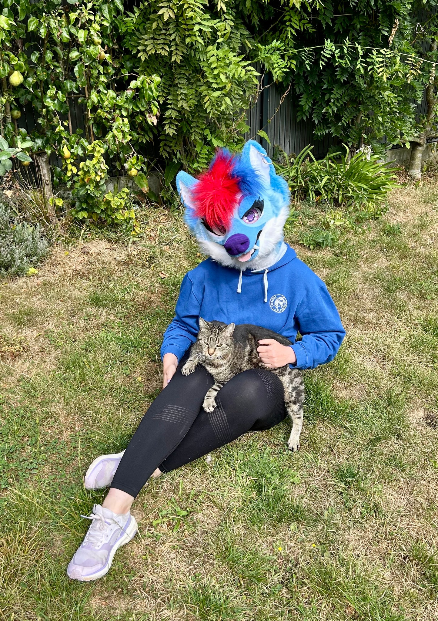 Sweatshirt | Escadron Derwolf Bleu Roi 🐺✈️